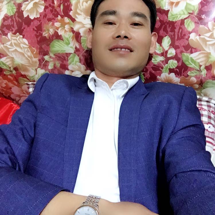 夏装的照片