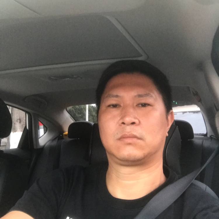 小懒猪笑现实的照片