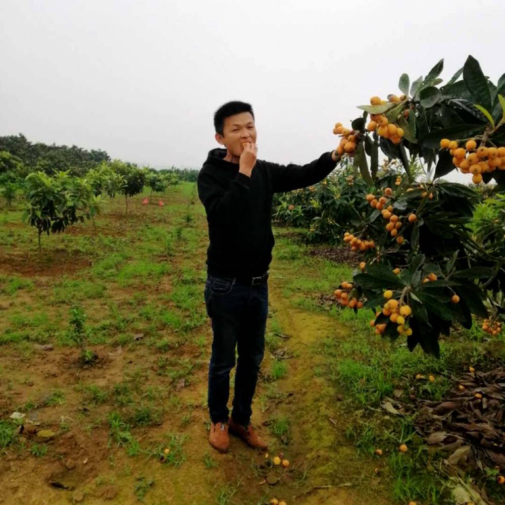 丢失回忆的照片