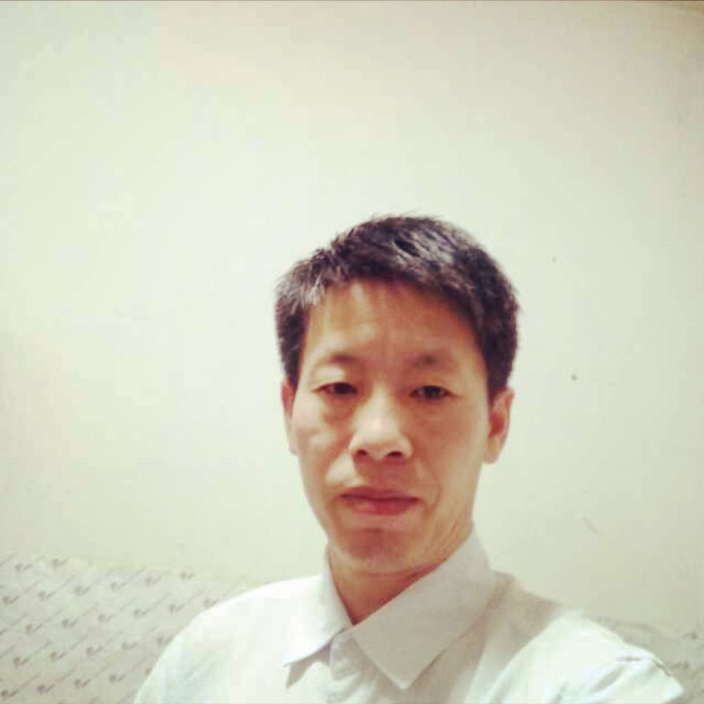 沉默多么向日葵的照片