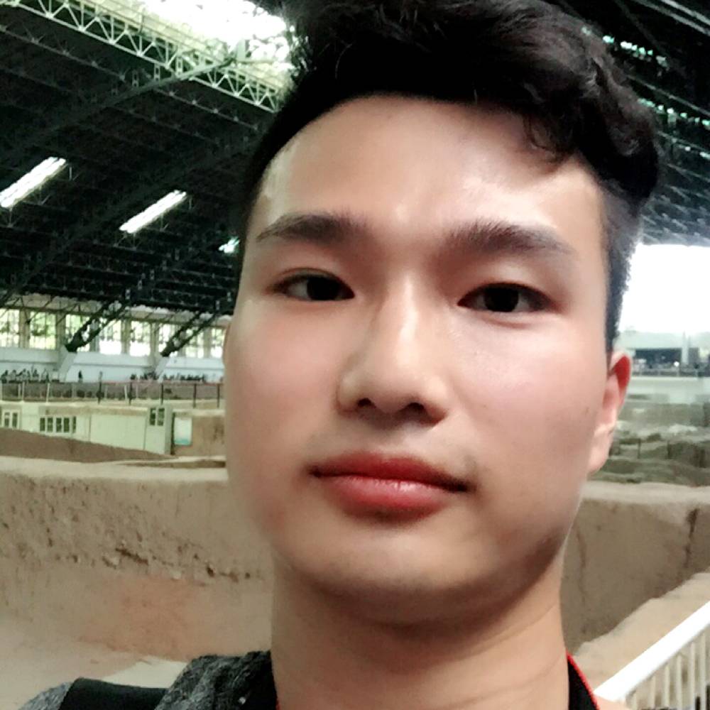 跳进鱼嘴里的猫的照片