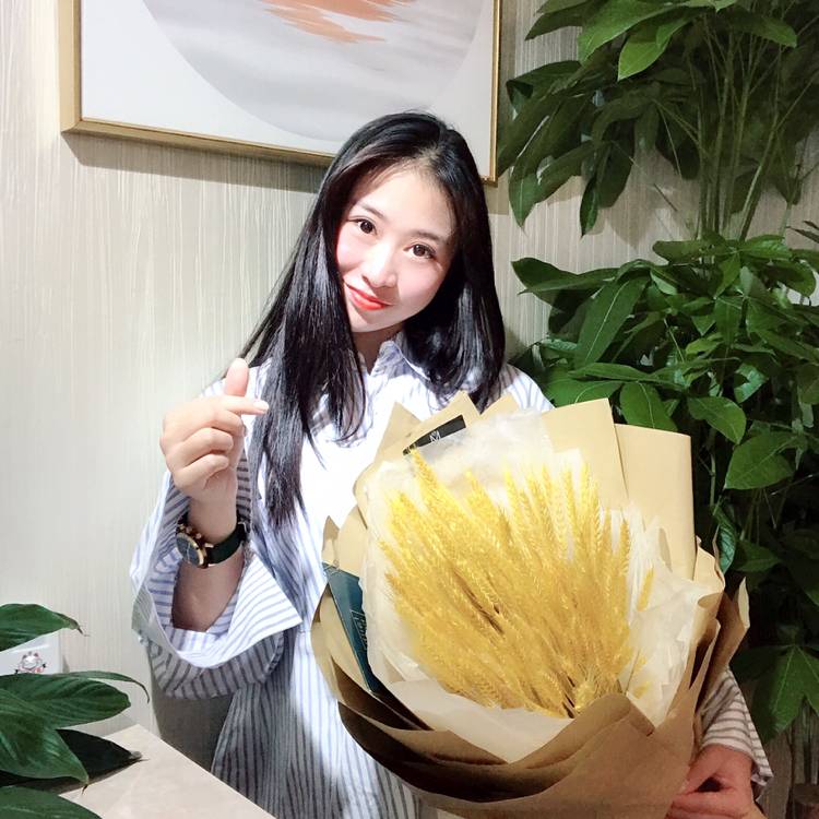 淑女静的照片