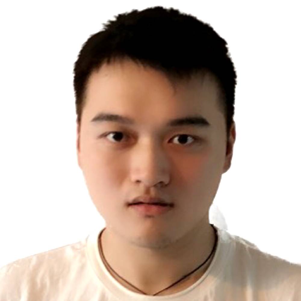 玉米凝眸活力的照片