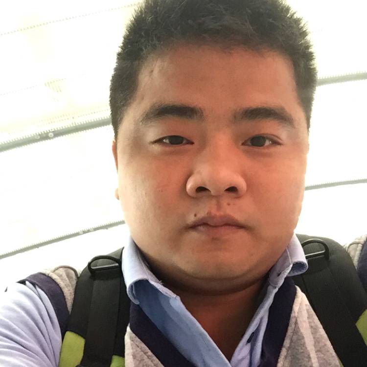 走猫步去流浪的照片