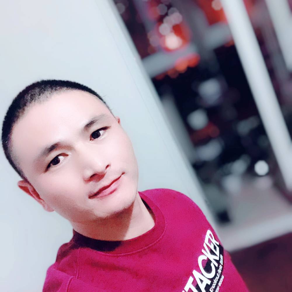 小刺猬无限的照片