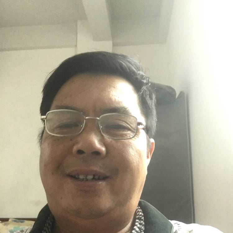 大苯牛的照片