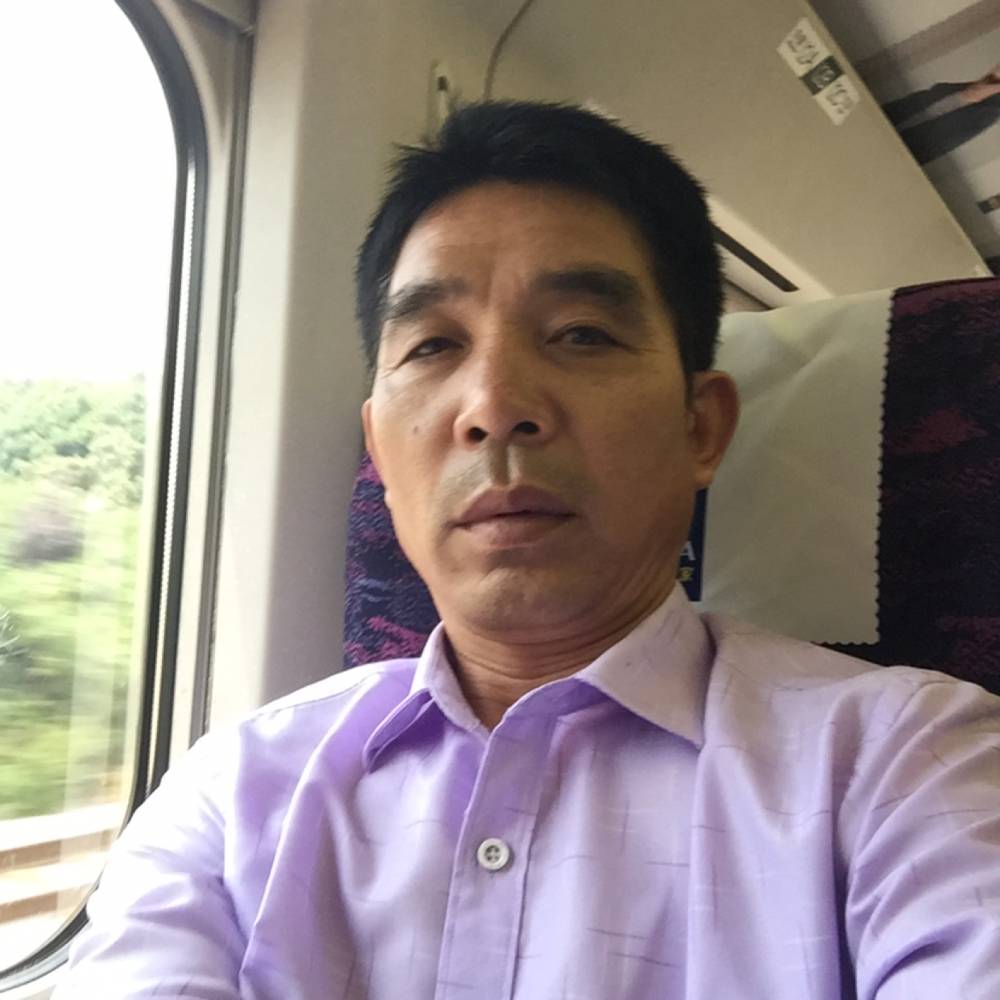 黑猫踢端庄的照片