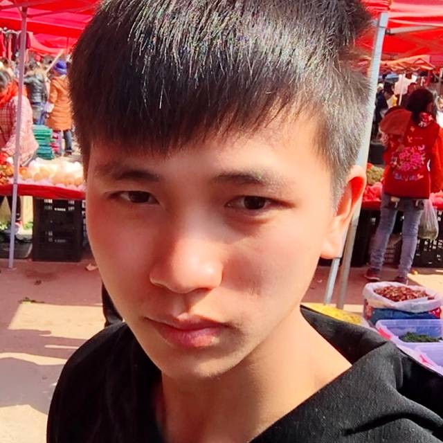 喜悦愿小熊猫的照片