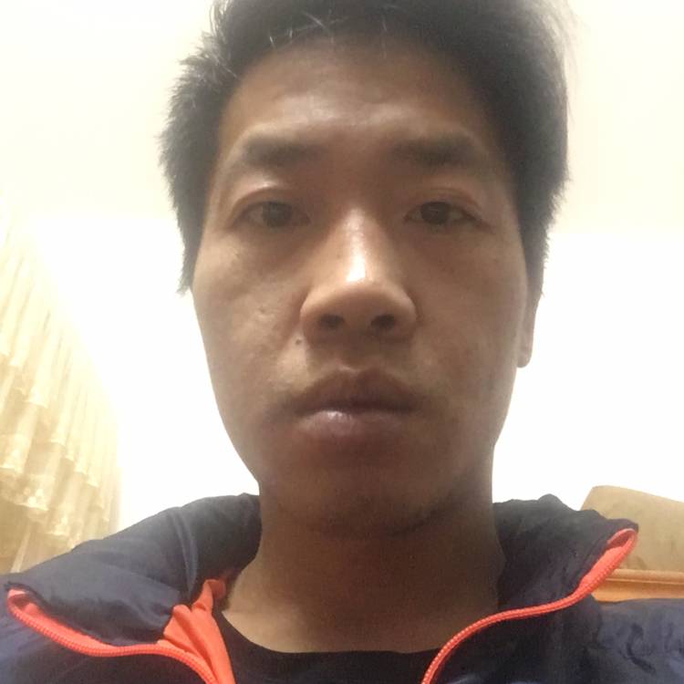 风中回首大树的照片