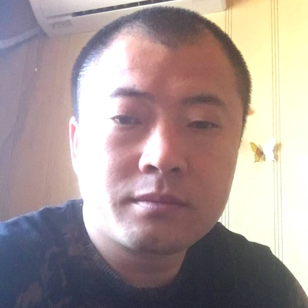 黄蜂回眸粗犷的照片
