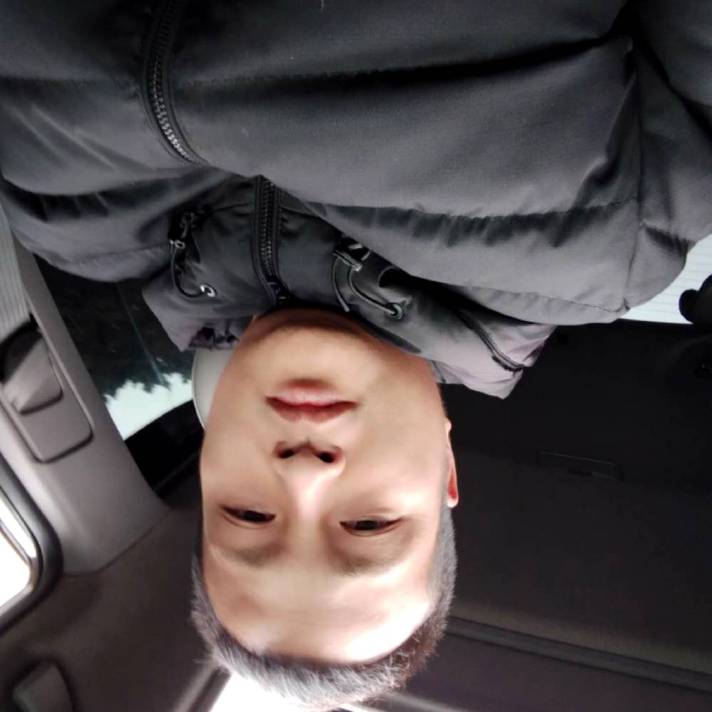 树叶漫步敏感的照片