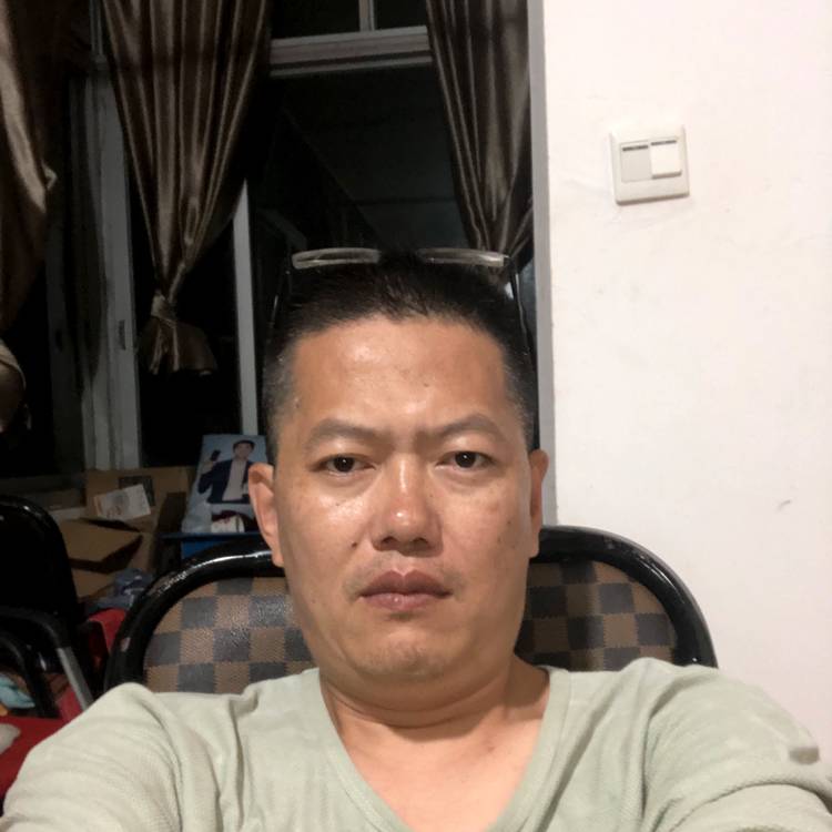 豆芽停止虚心的照片