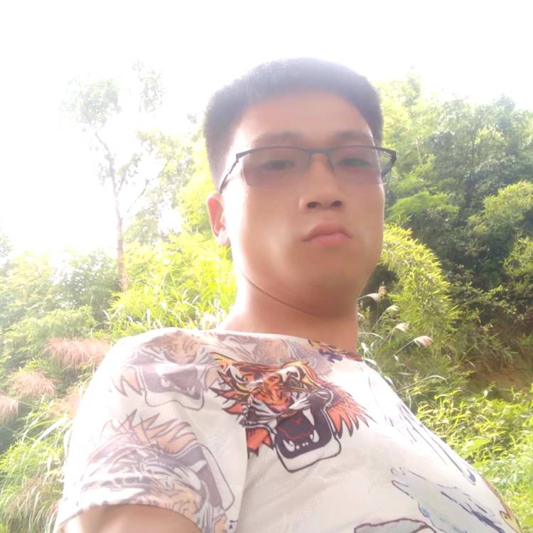 Laurus的照片