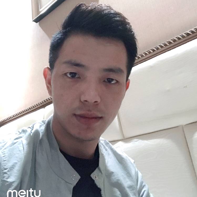 蛋蛋波洛的照片