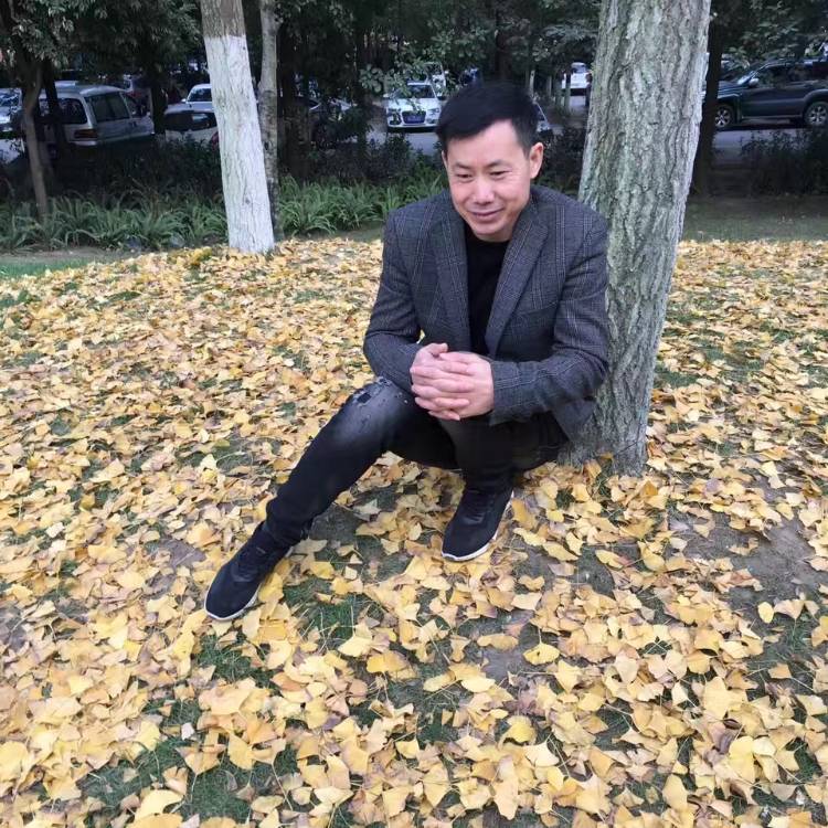 黄蜂邂逅自信的照片