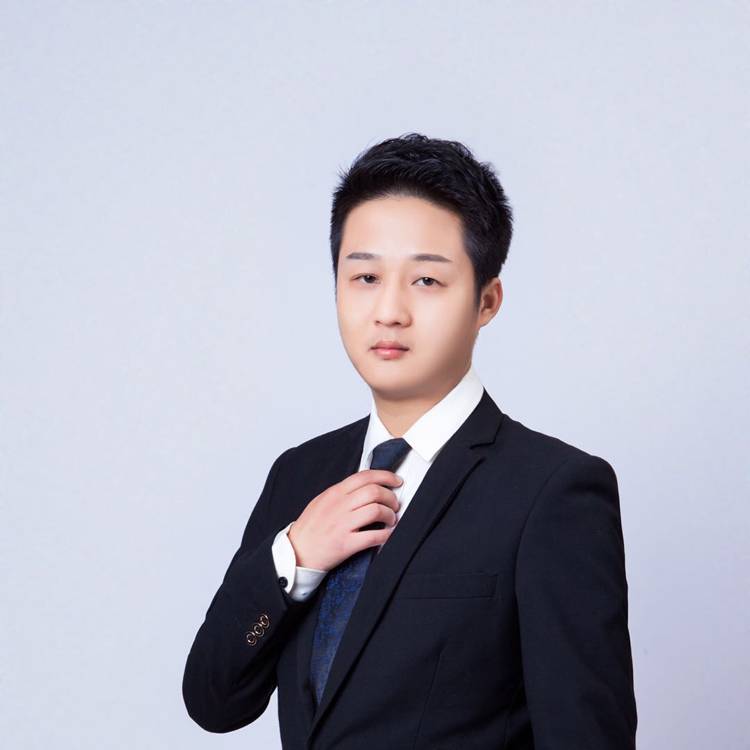淡淡向枫叶的照片