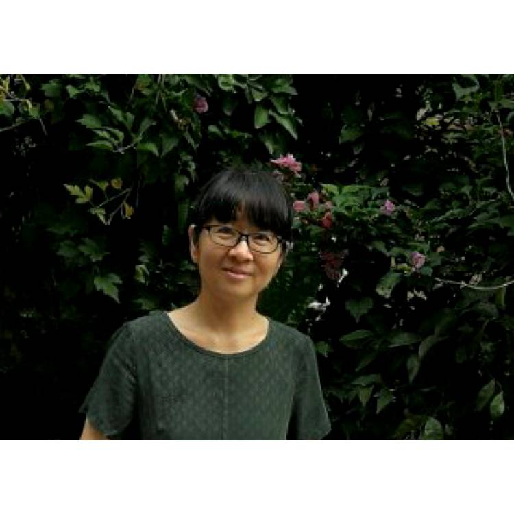 辛勤小猴子的照片