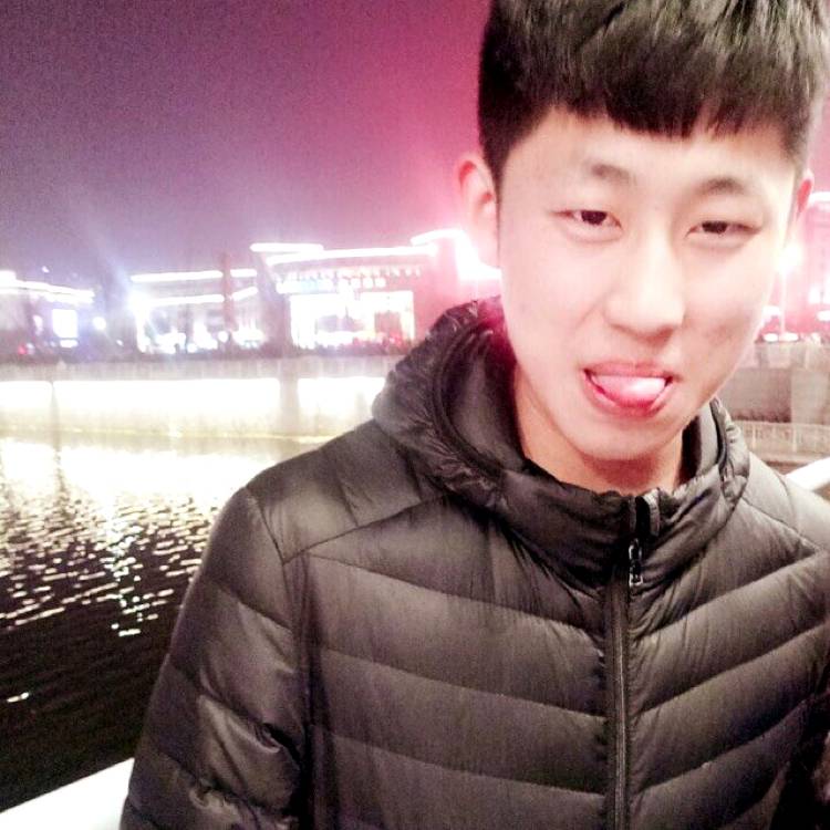 流浪q的照片