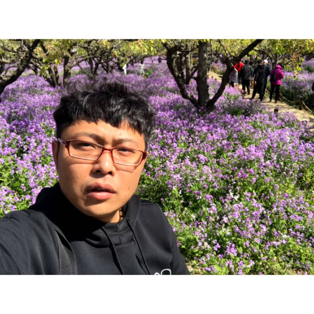 红玫瑰蹁跹彼年的照片