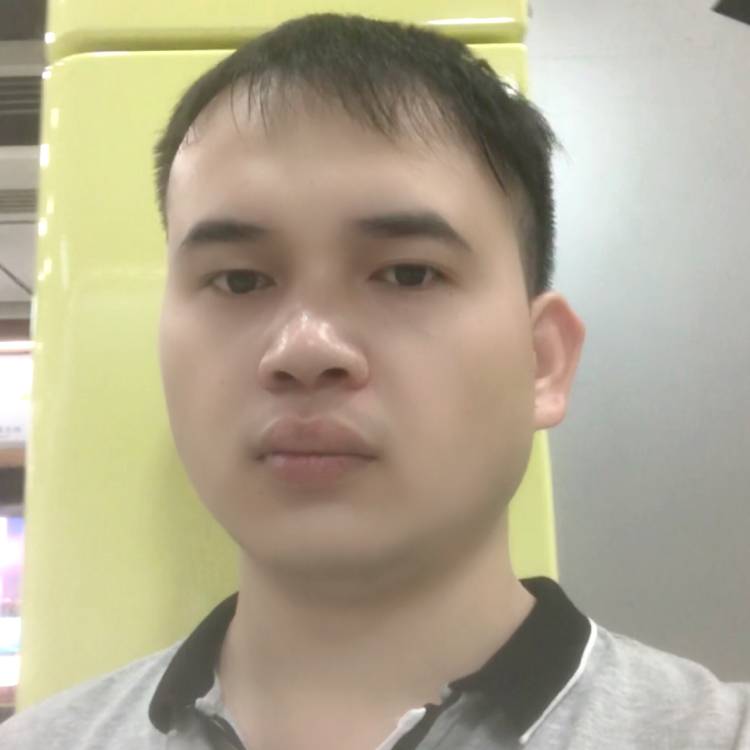大方向向日葵的照片
