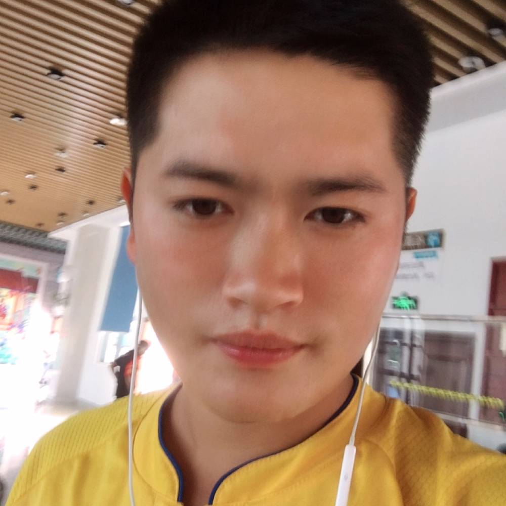 小海豚勤奋的照片