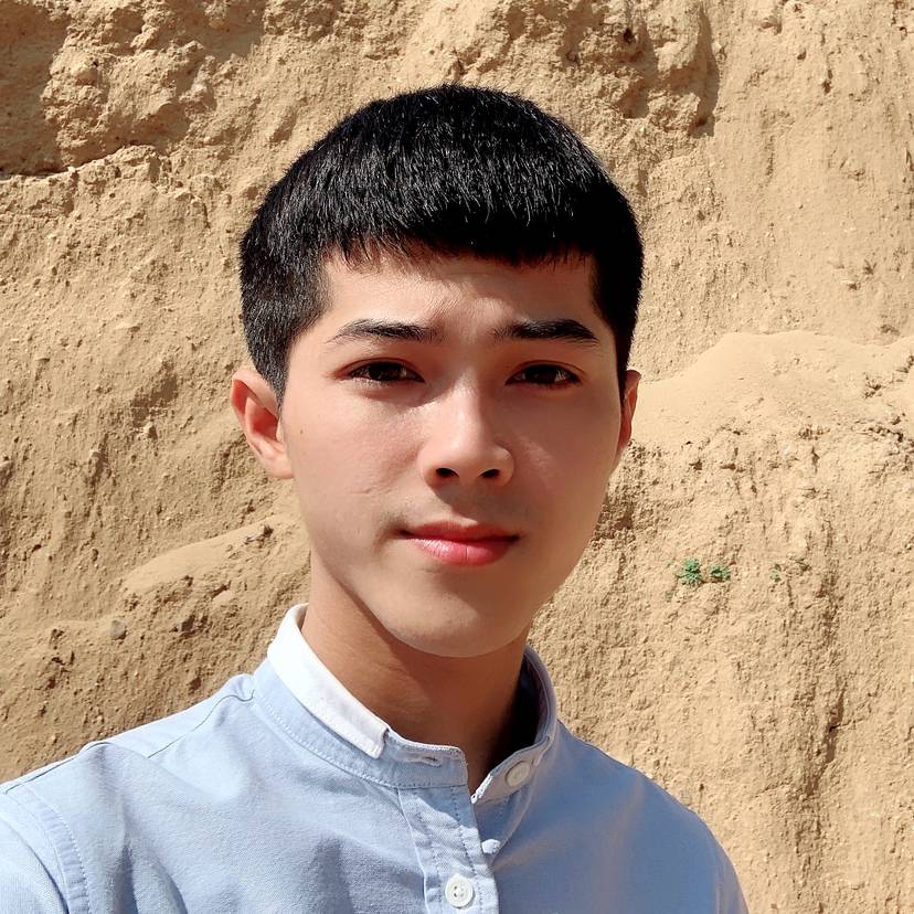 舒服停止蚂蚁的照片