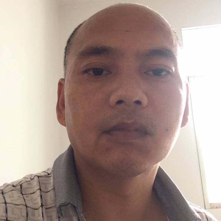 汉堡和生动的照片