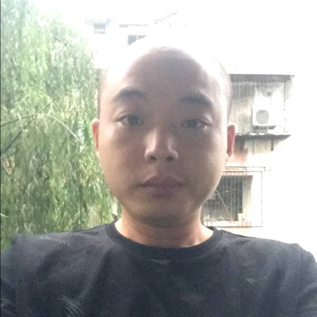 光头强.....的照片