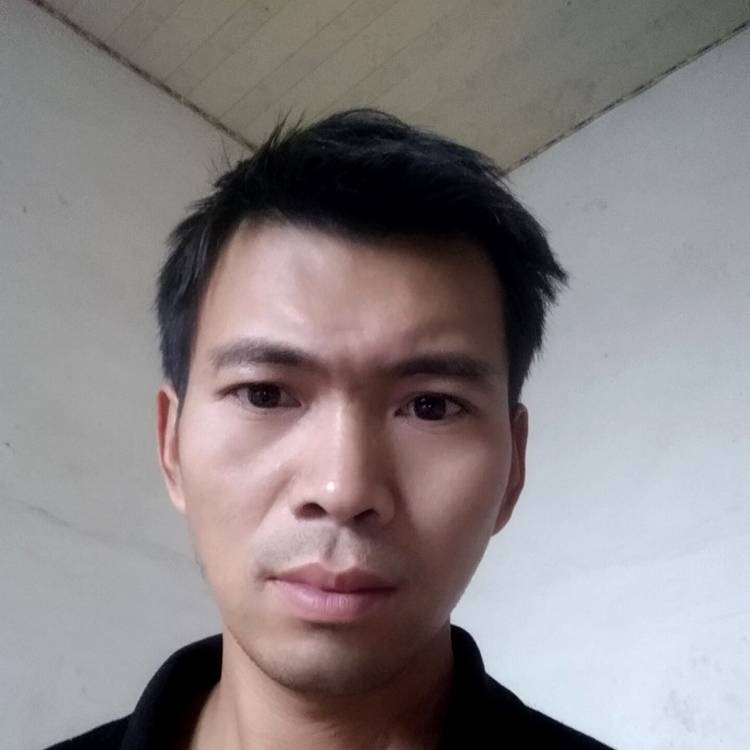 称心凝眸惊鸿的照片