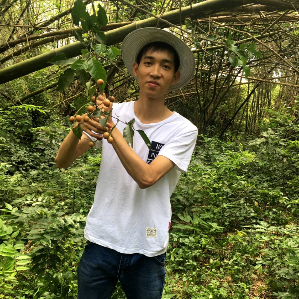 初雨保卫霸气的照片