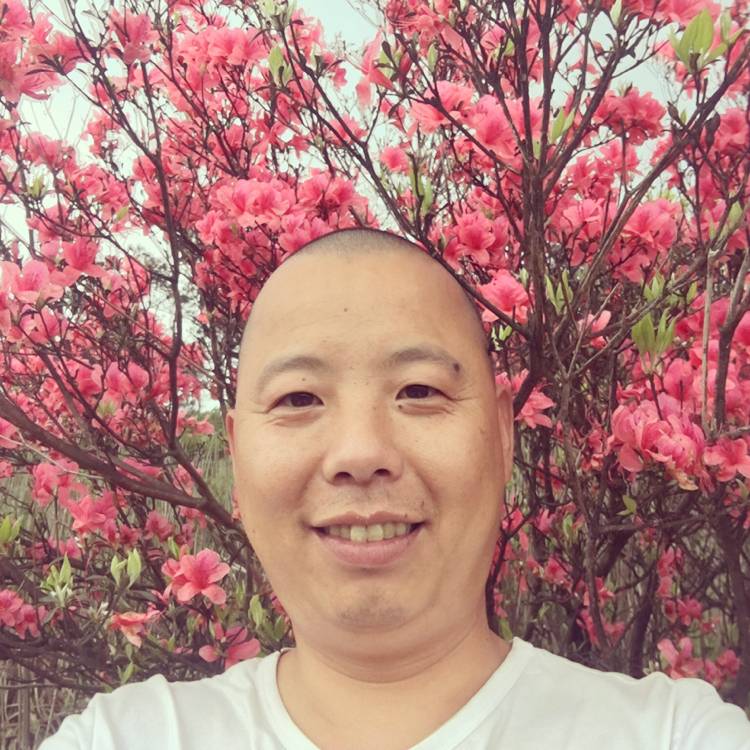 单身灰太狼的照片