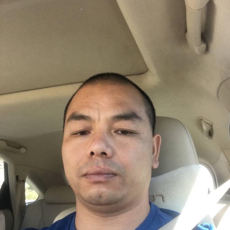 车，的照片