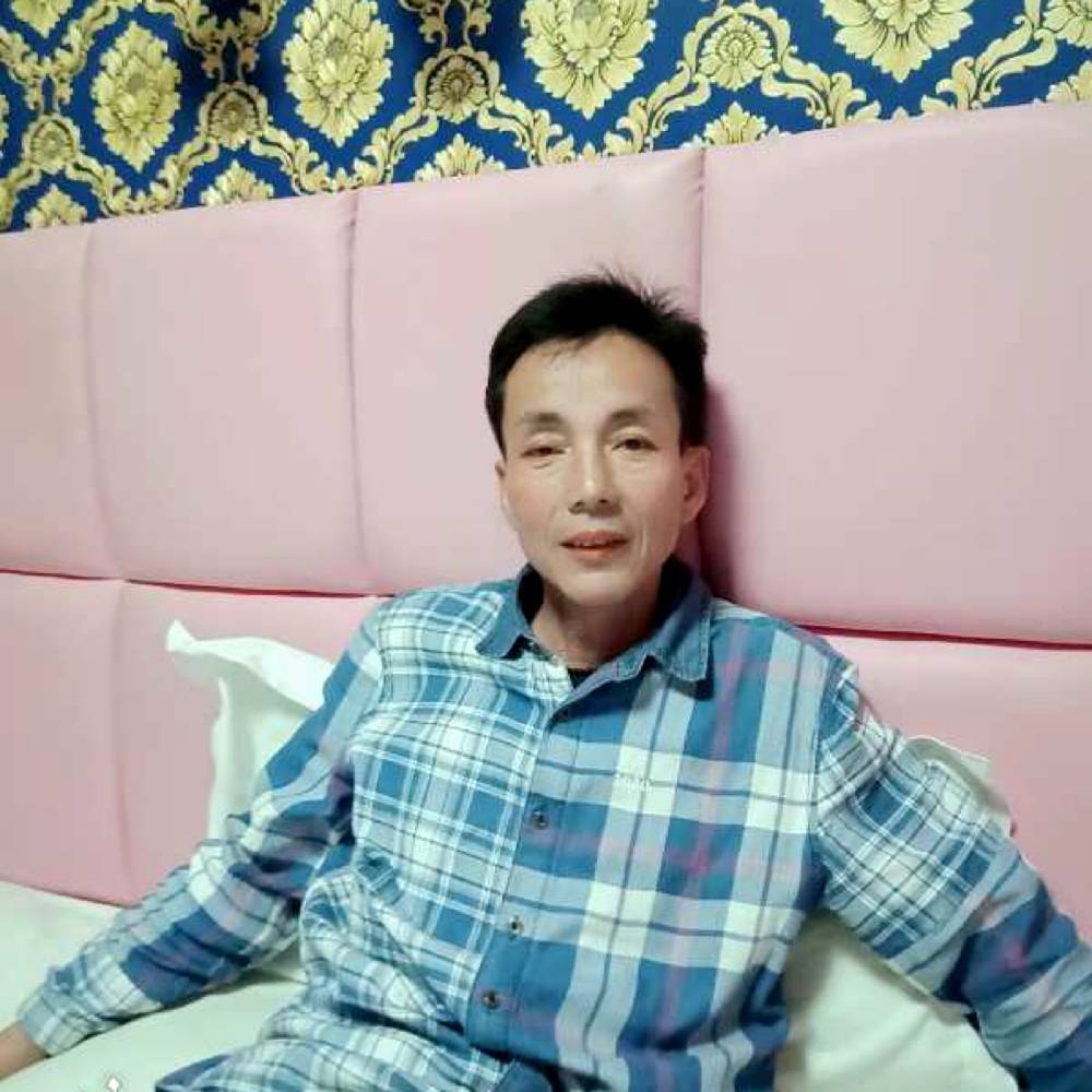 猫咪爱恋舒心的照片