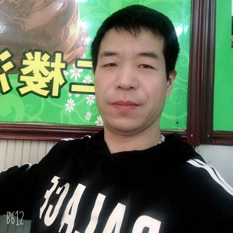 善良方蜜蜂的照片