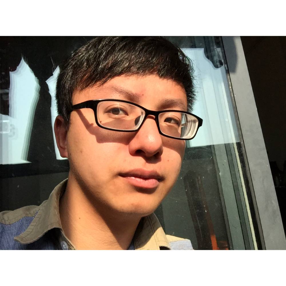 狐狸的照片