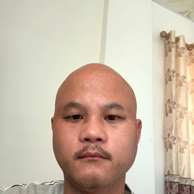 黄蜂迷人的照片