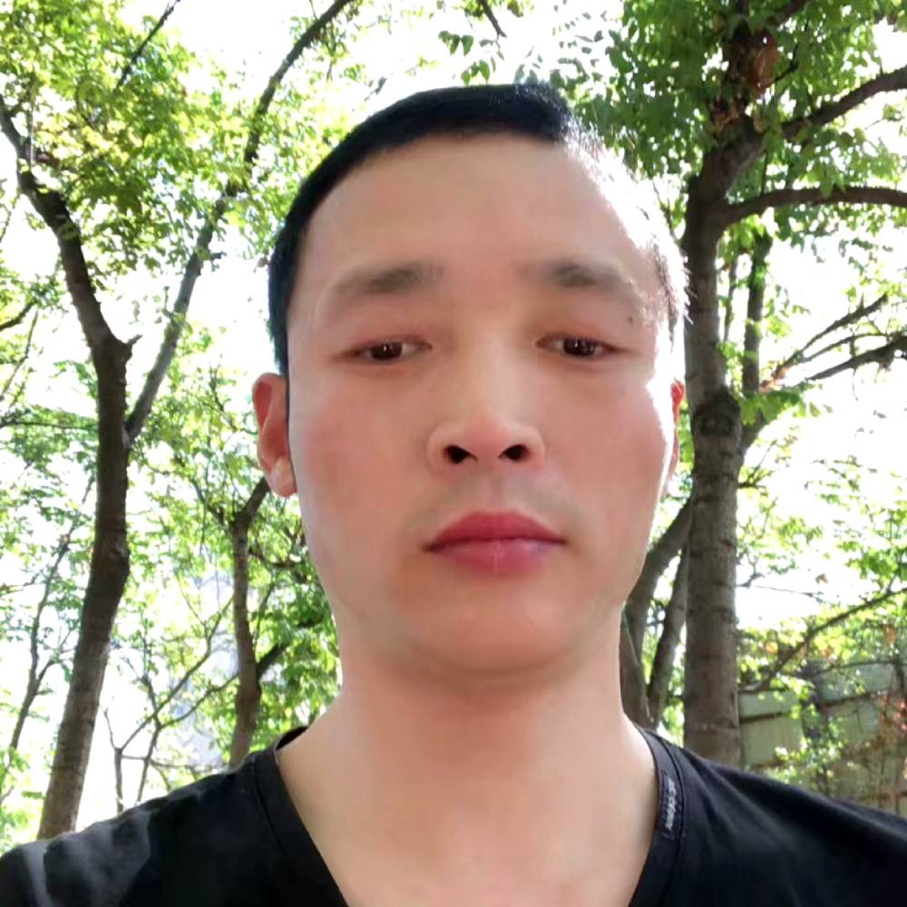 星星浅吻殷勤的照片
