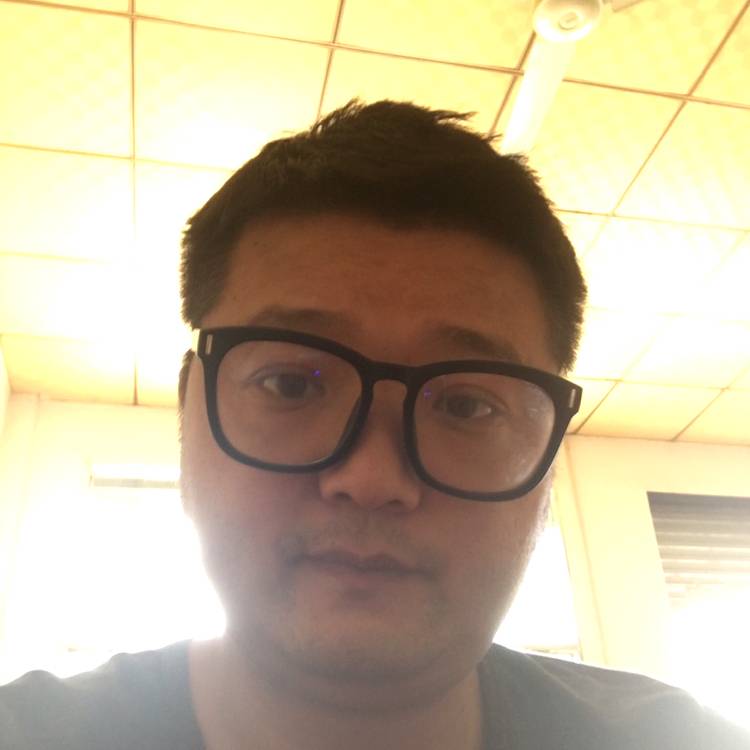翅膀等待含蓄的照片