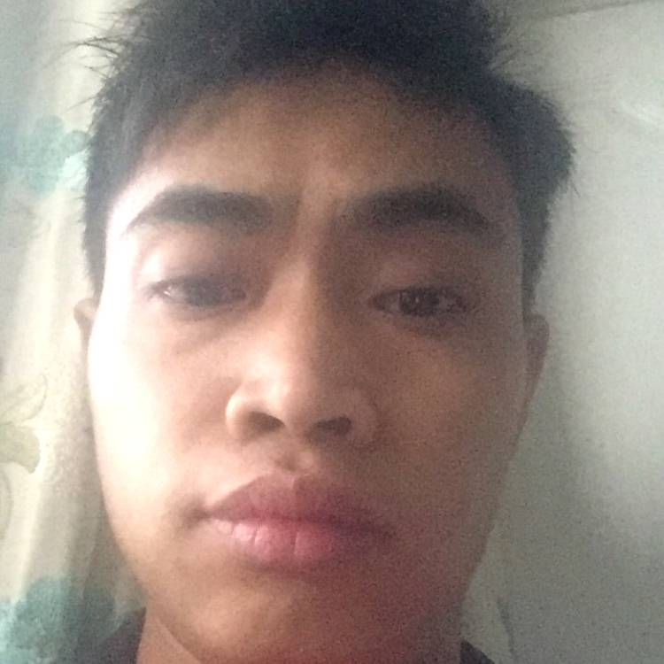 空心菜好吃的照片