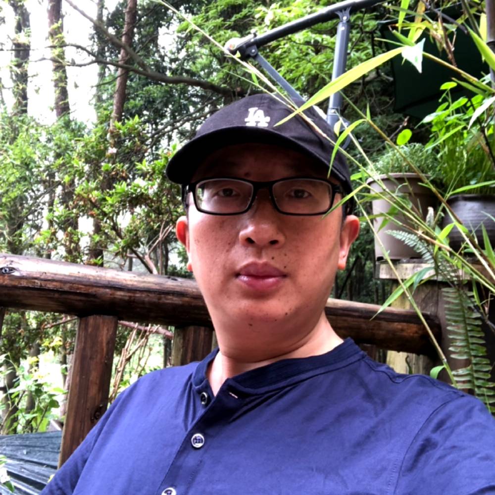 楠荫的照片