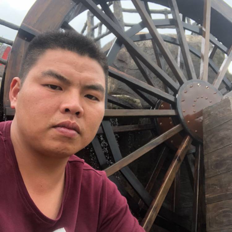 谁伴，我闯荡？的照片
