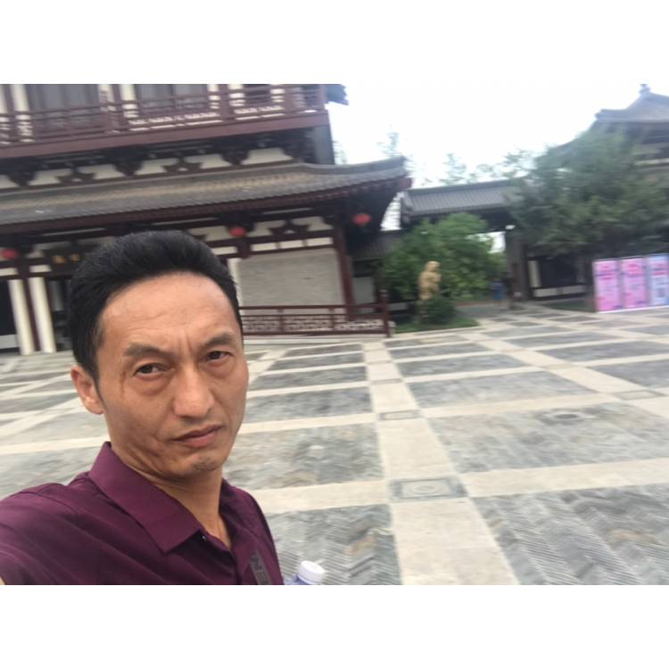 龙猫碧蓝的照片