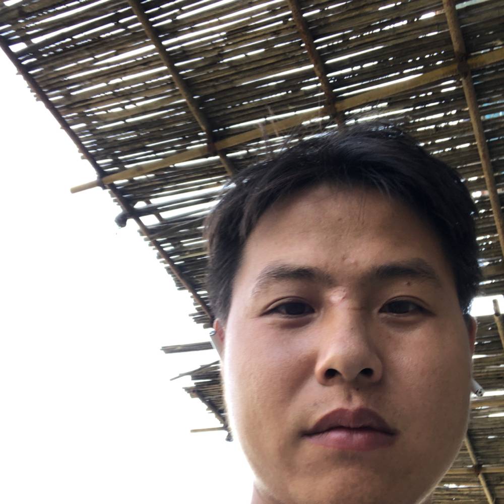 黄样的照片