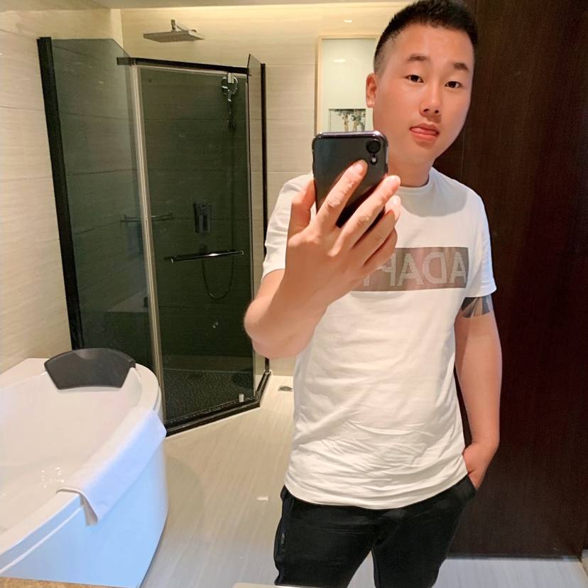 陶醉停止小海豚的照片