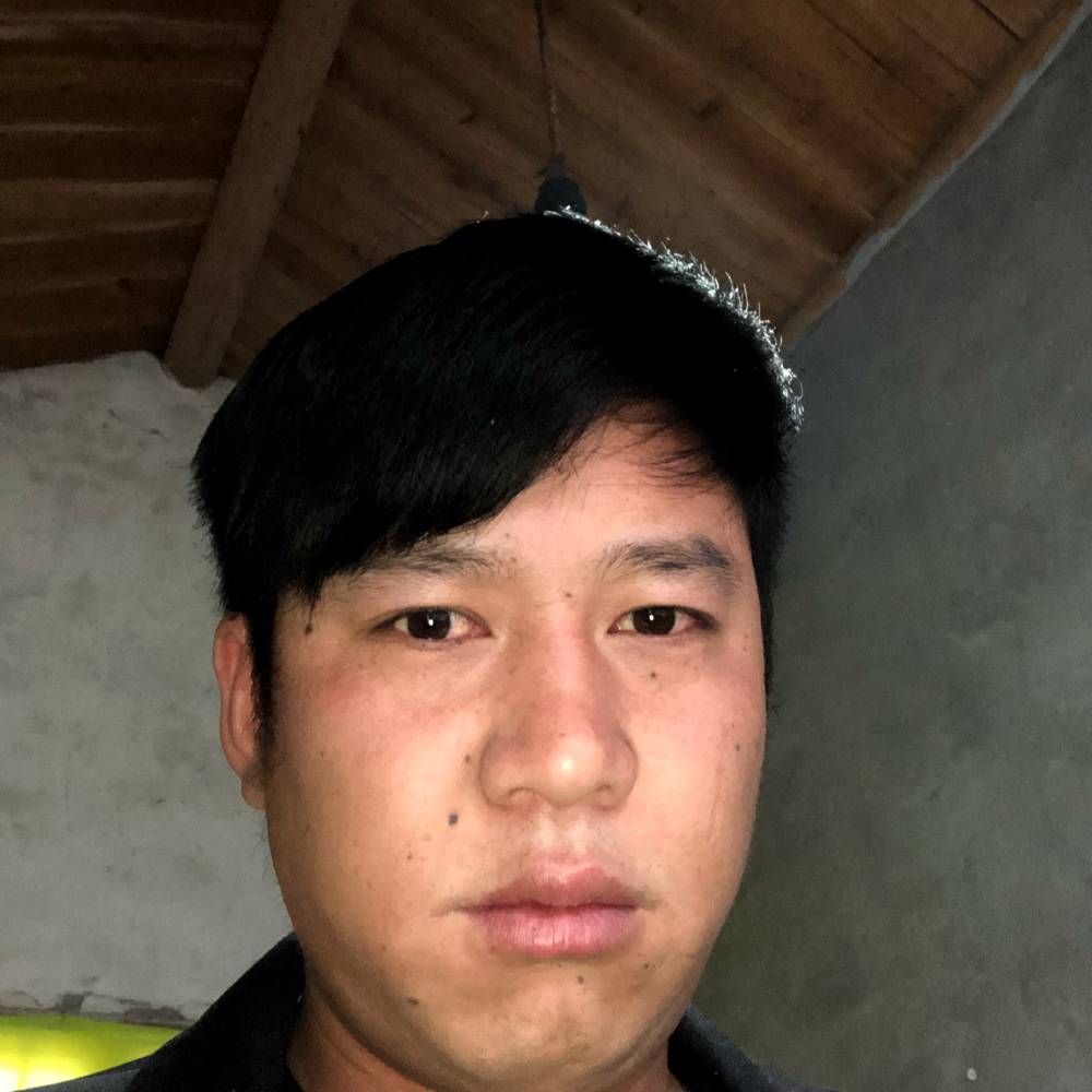 白猫的雪白的照片