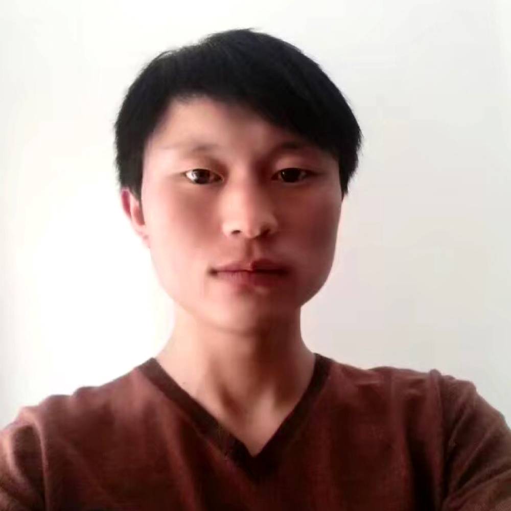 胡萝卜爱啃兔兔的照片