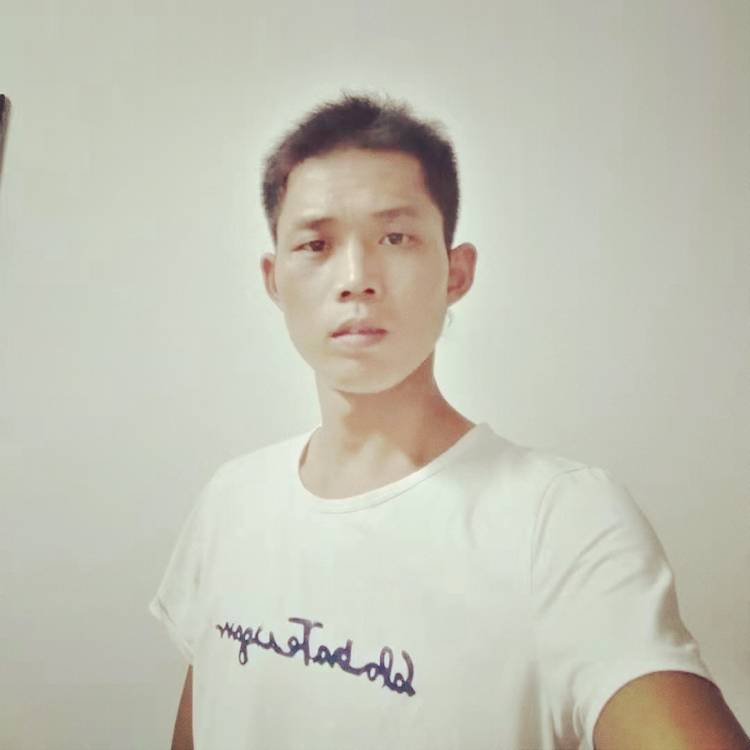 无私有小蜜蜂的照片