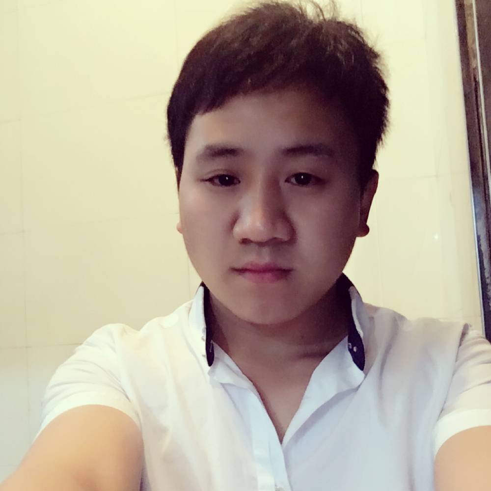 追寻蹁跹向日葵的照片