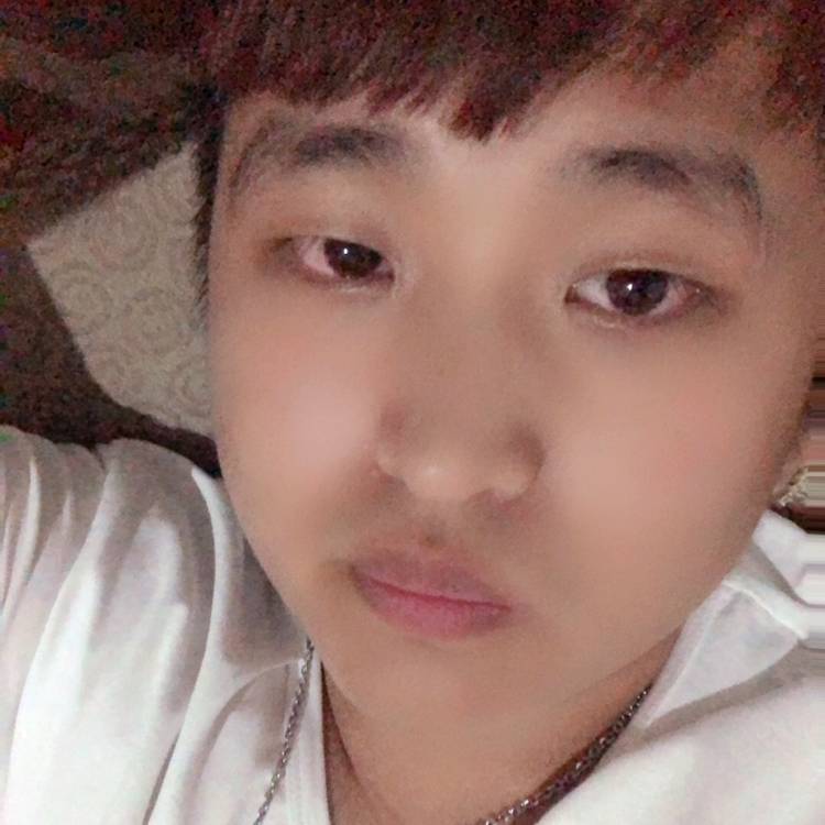 奇异果爱恋安静的照片