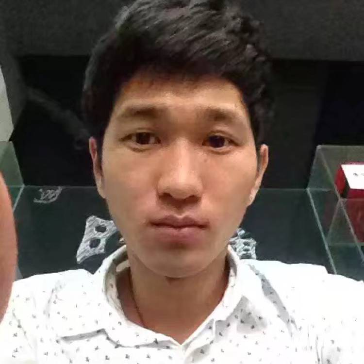 白菜的照片